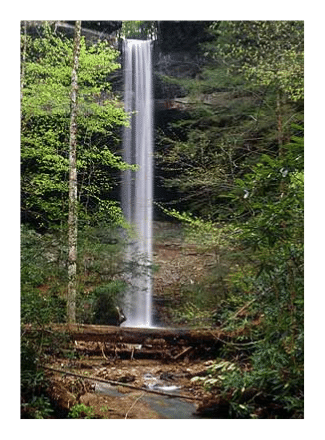 yahoo-falls